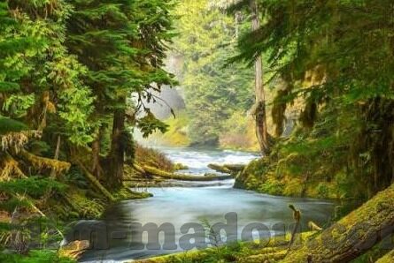 大象传媒app网页地址-探索大象传媒app，数字时代的文化桥梁