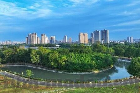 麻豆国产av一区二区精品-共建和谐网络