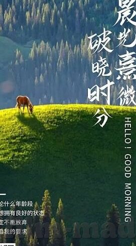 日韩免费Av片在线观看-日韩免费AV片在线观看，网络时代的文化与伦理边界